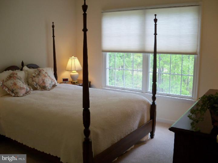 1 Harwood Way Medford, NJ 08055 - Photo 22 of 24