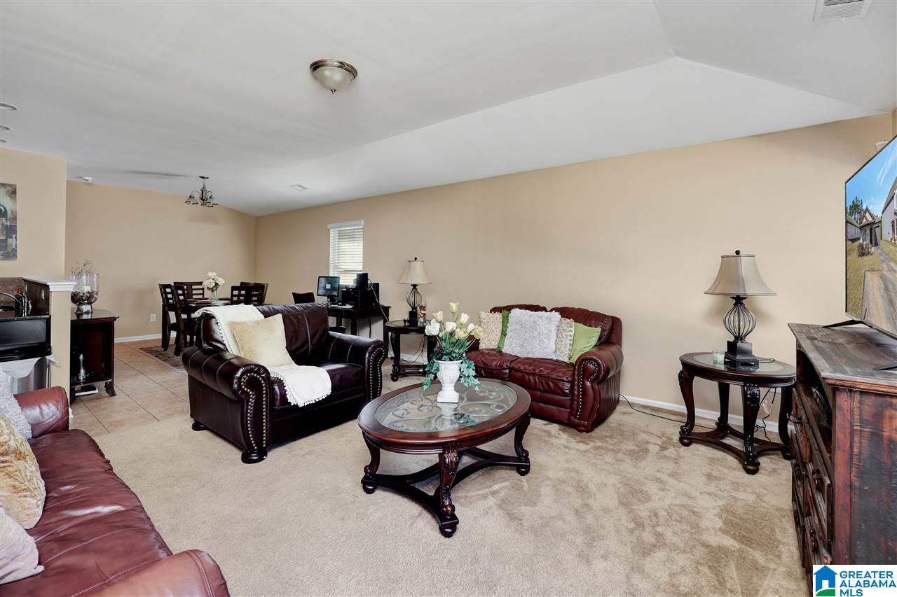 50 Briar Ridge Lane Odenville, AL 35120 - Photo 5 of 22