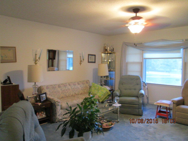 3585 Hamlin Road Lizella, GA 31052 - Photo 7 of 12 a living room with furniture flowerpot and window
