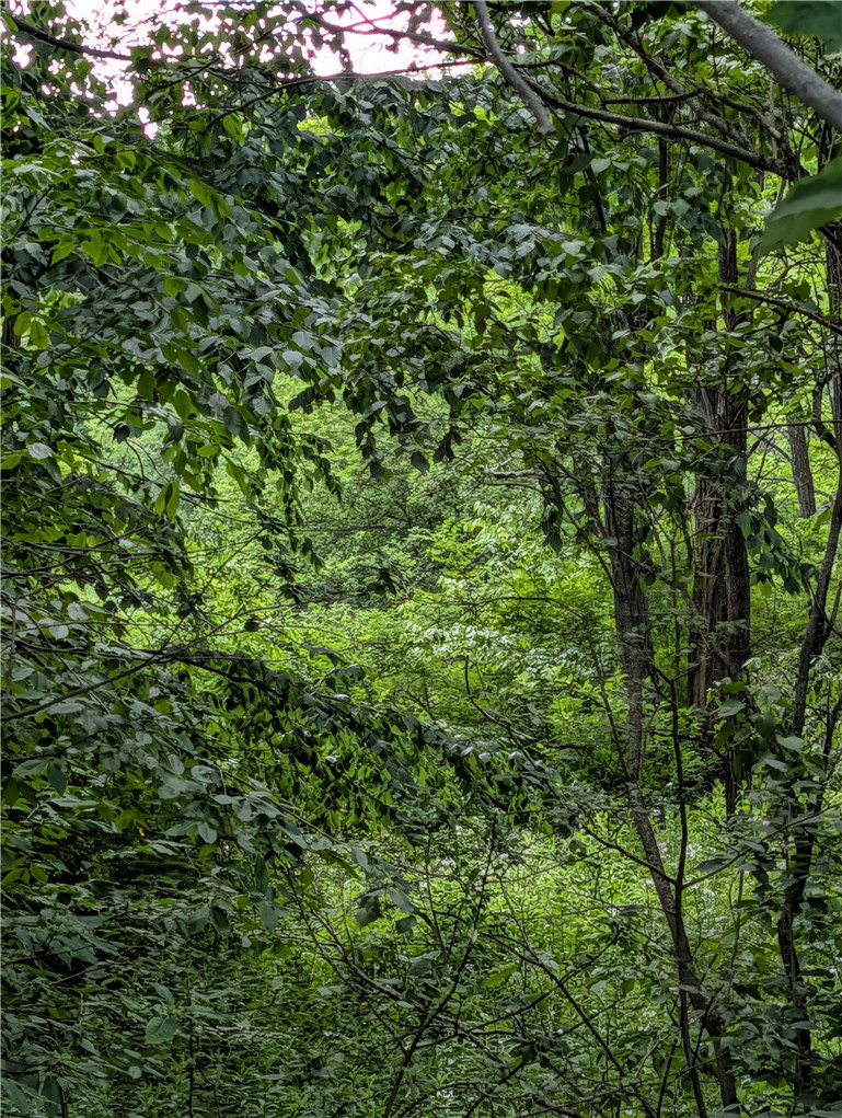 Case Road Bainbridge, NY 13733 - Photo 4 of 13
