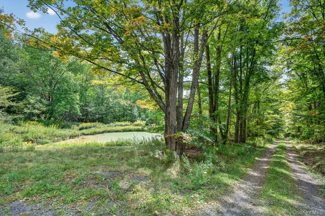 $330,000 | 174 Gary Place, Denver, NY 12421