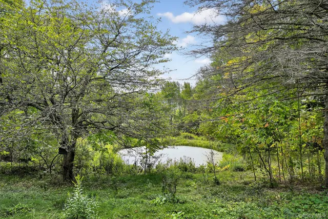 $330,000 | 174 Gary Place, Denver, NY 12421