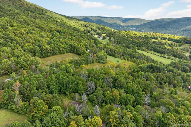 $330,000 | 174 Gary Place, Denver, NY 12421