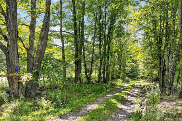 $330,000 | 174 Gary Place, Denver, NY 12421