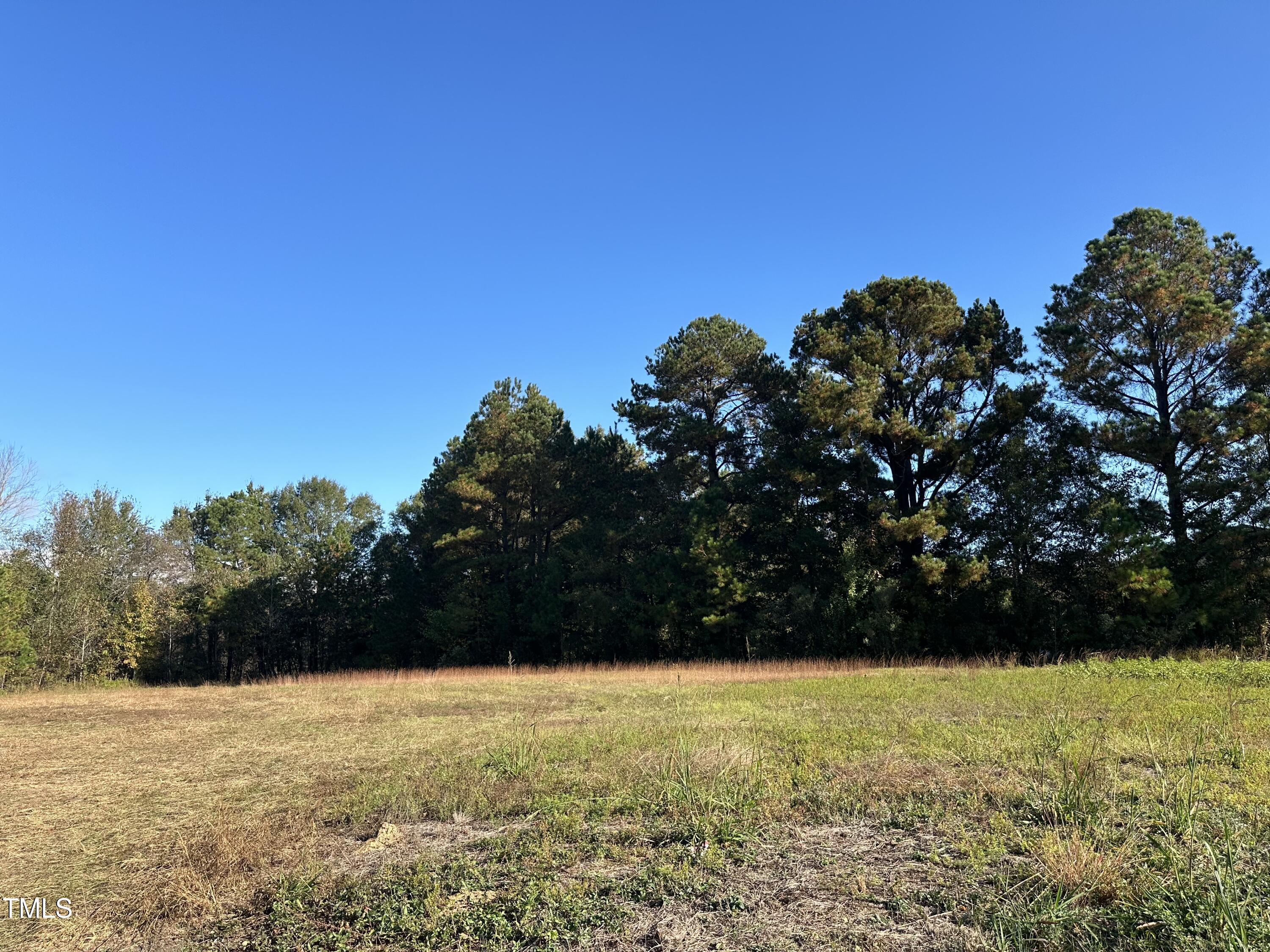 0 Berkshire Road Smithfield, NC 27577 - Photo 2 of 3 a view of outdoor space and yard