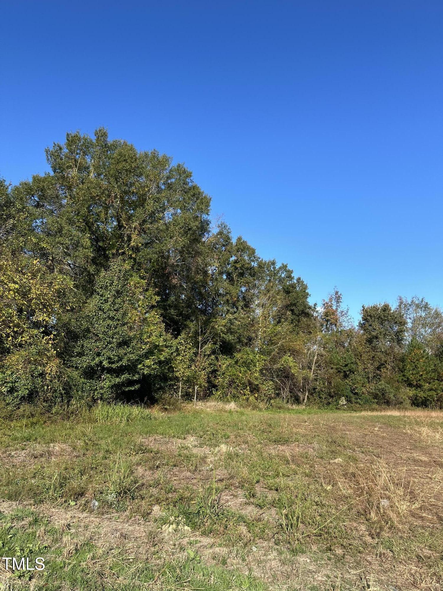0 Berkshire Road Smithfield, NC 27577 - Photo 3 of 3 a view of a large yard with lots of green space