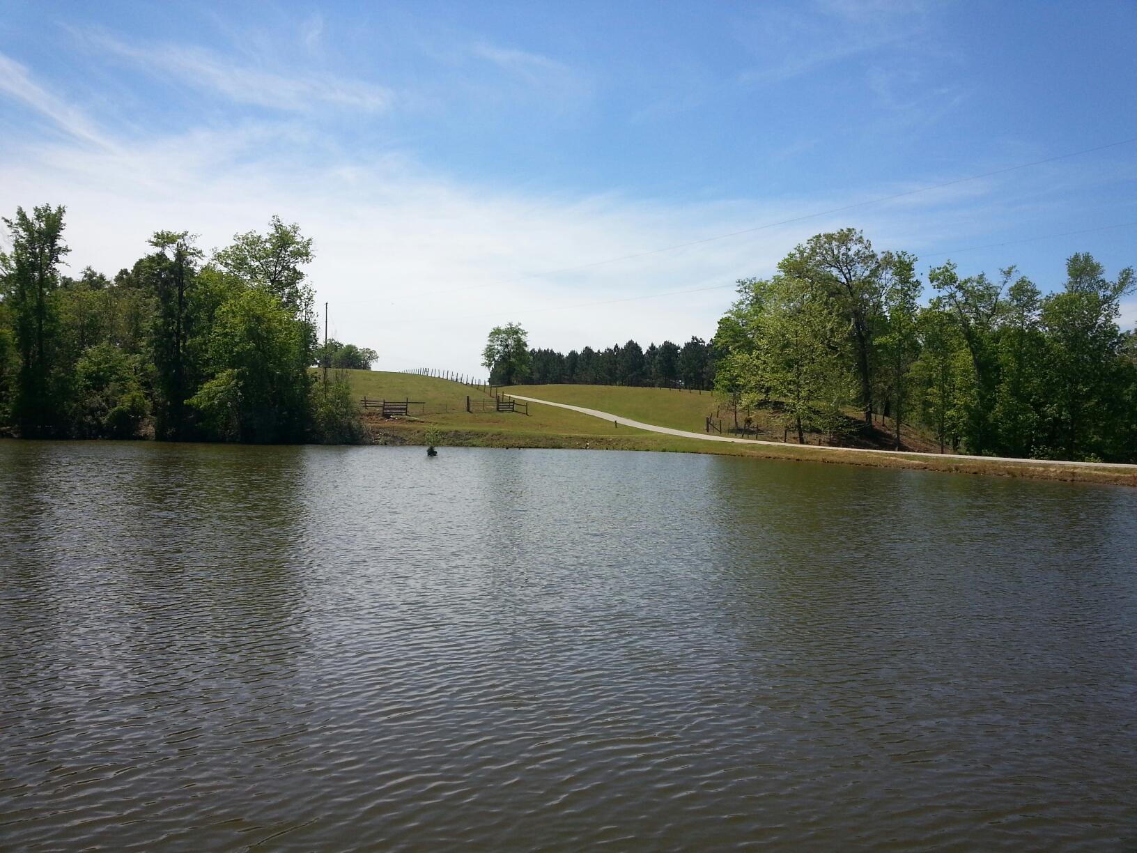0 Ranch Road St. Matthews, SC 29135 - Photo 1 of 10 20160414_135610
