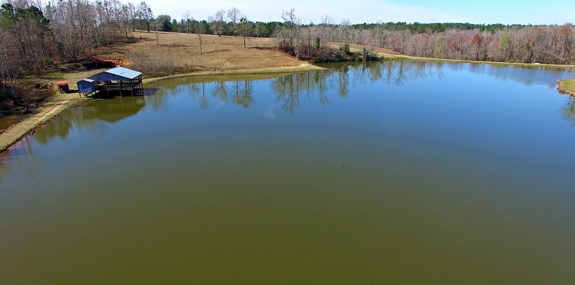 0 Ranch Road St. Matthews, SC 29135 - Photo 3 of 10 20