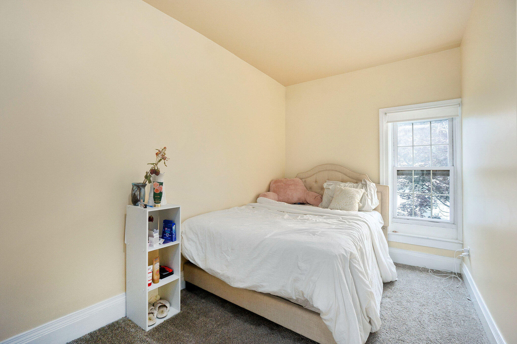 317 East Chart Street Plainwell, MI 49080 - Photo 14 of 28 012_dsc01144_957