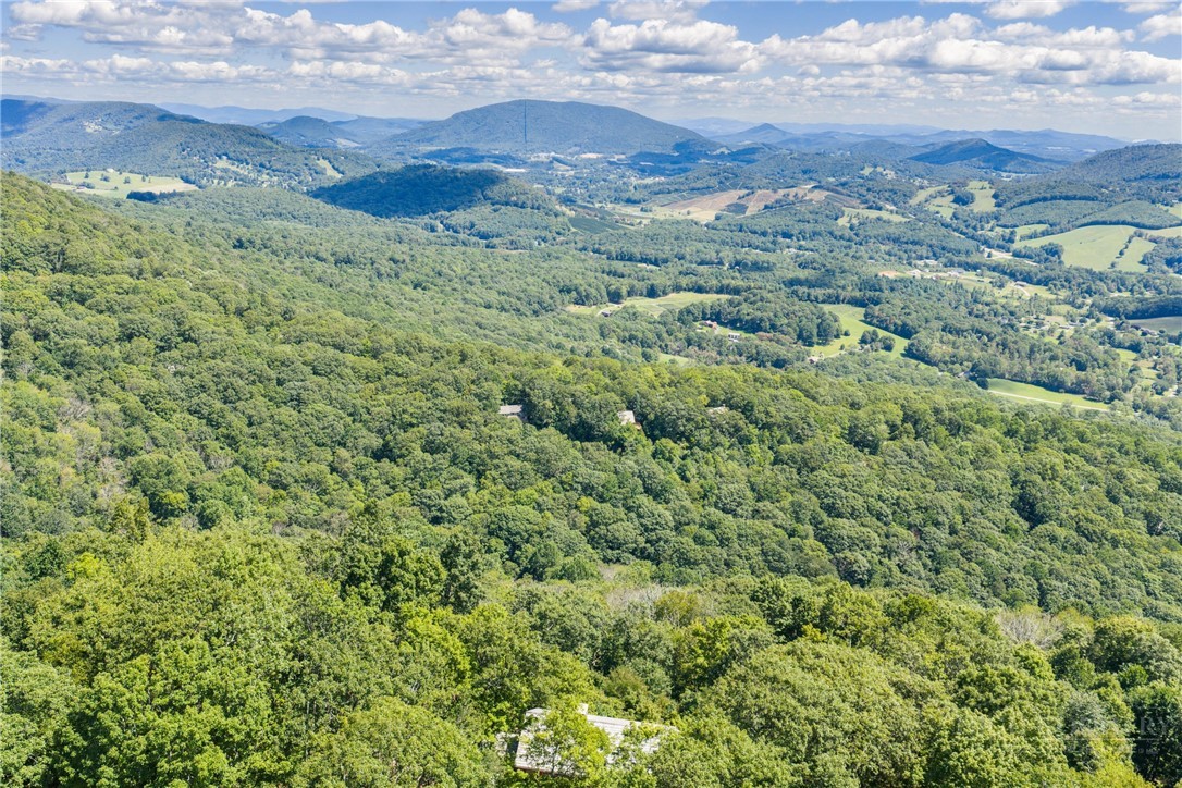 2177 Homestead Road Todd, NC 28684 - Photo 2 of 49 a view of a green field with lots of bushes
