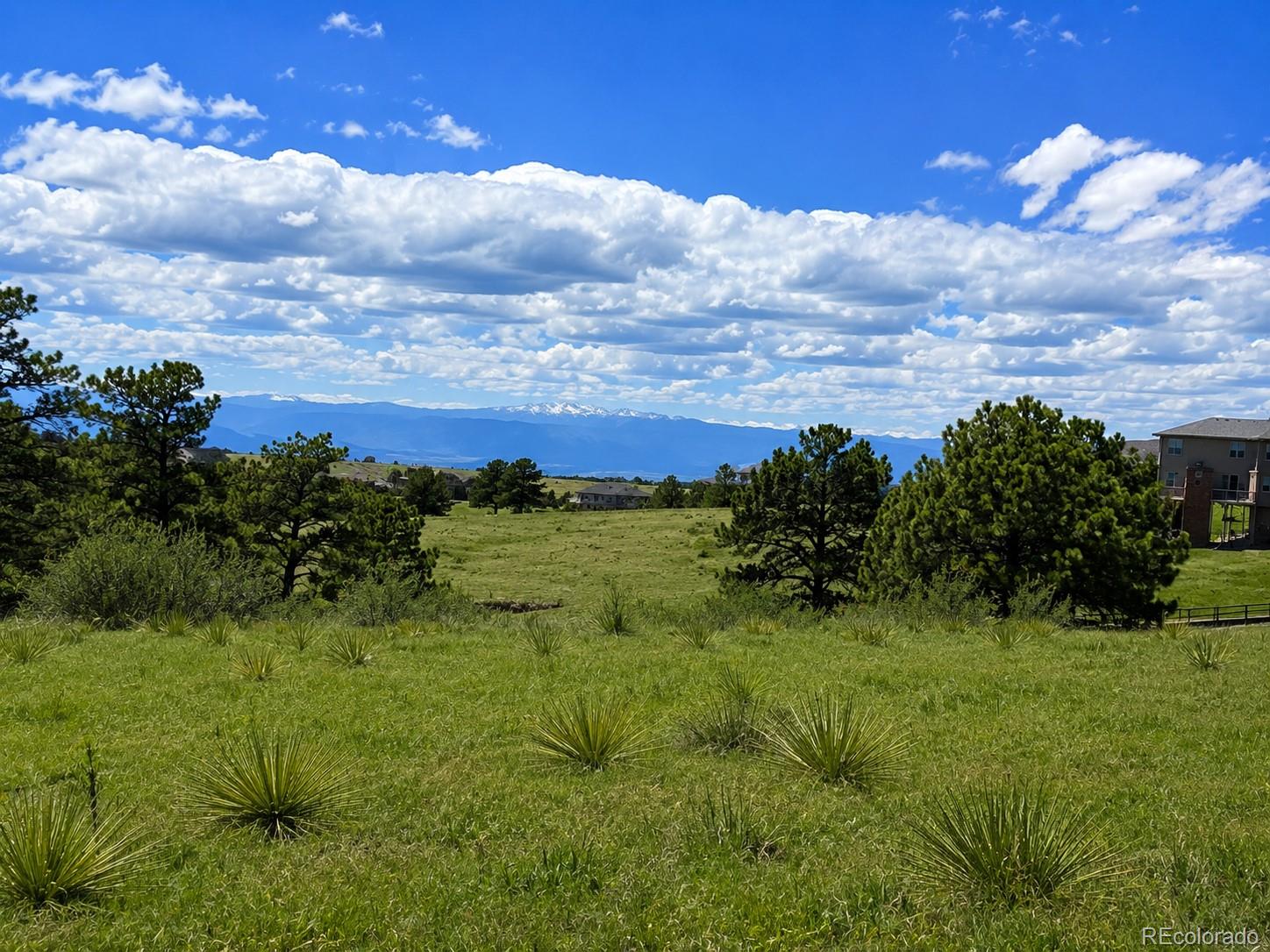 Forest Rim Road Aurora, CO 80016 - Photo 2 of 10