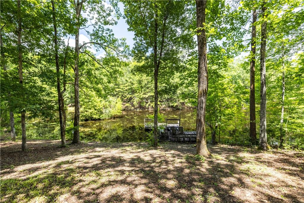 432 Melson Road Southwest Cave Spring, GA 30124 - Photo 22 of 31
