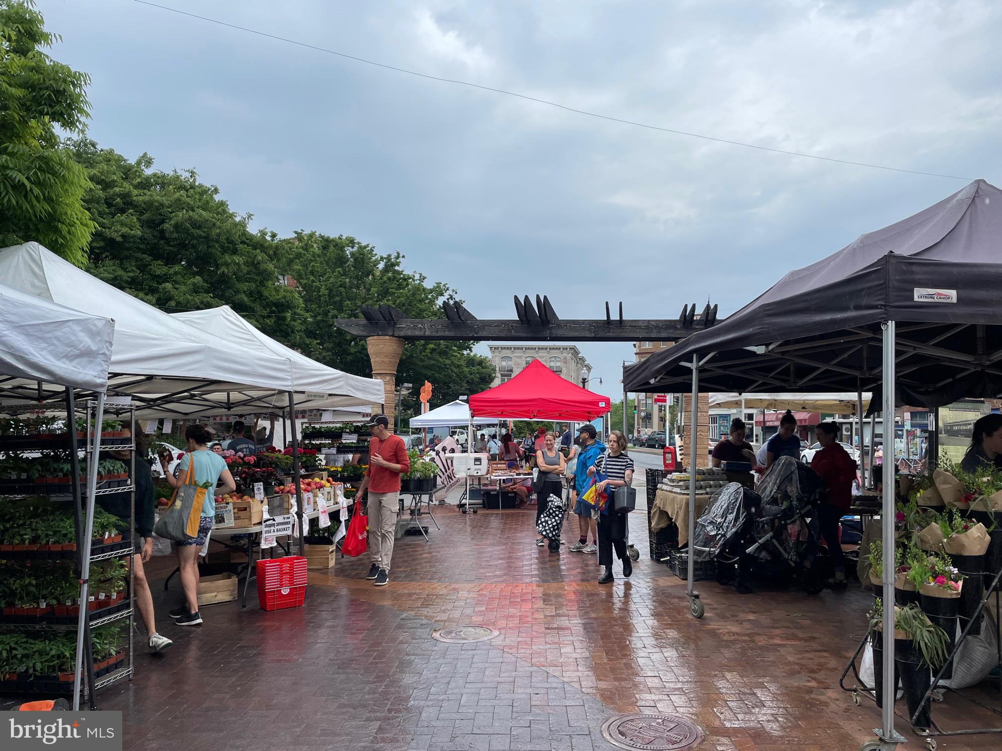 3324 18th Street Northwest, Unit 9 Washington, DC 20010 - Photo 36 of 44 an outdoor space view