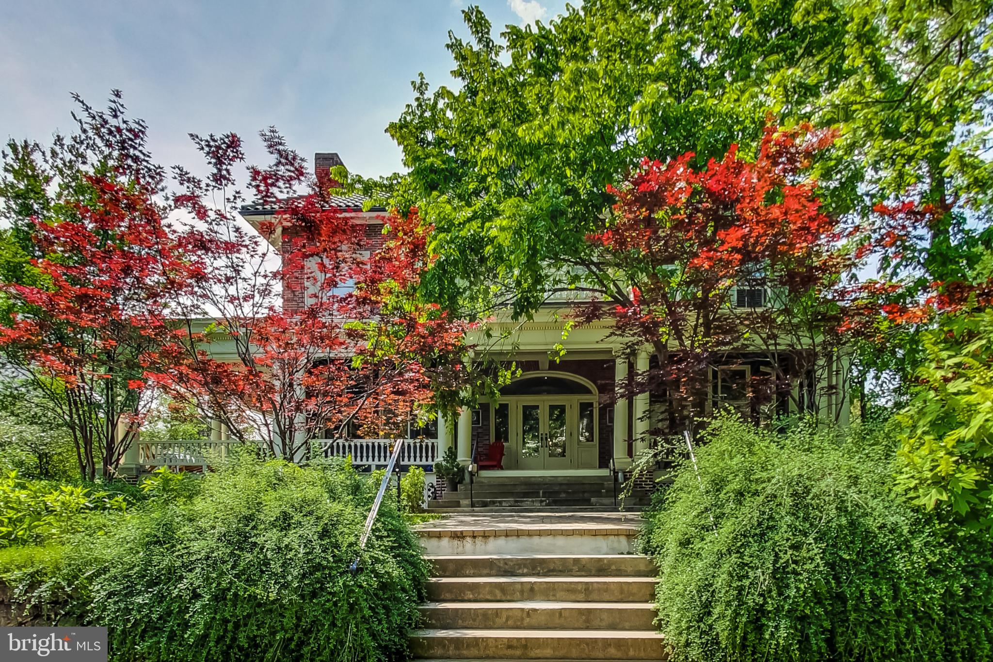 3324 18th Street Northwest, Unit 9 Washington, DC 20010 - Photo 4 of 44 a front view of a house with a tree