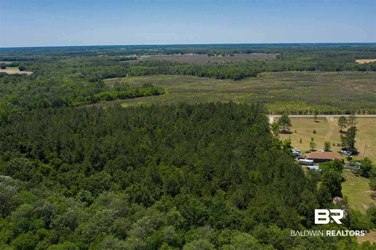 24690 Newport Road Robertsdale, AL 36567 - Photo 7 of 9 Great Development Area