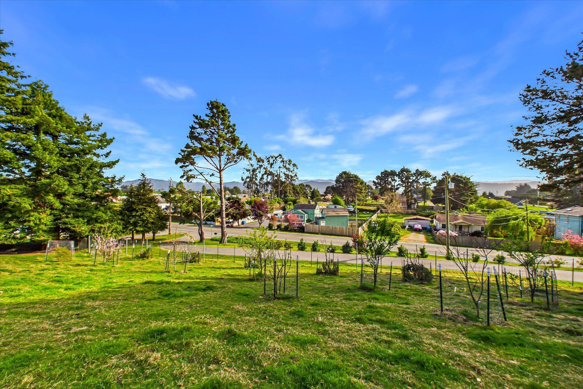 6699 Rohnerville Road Hydesville, CA 95547 - Photo 49 of 54