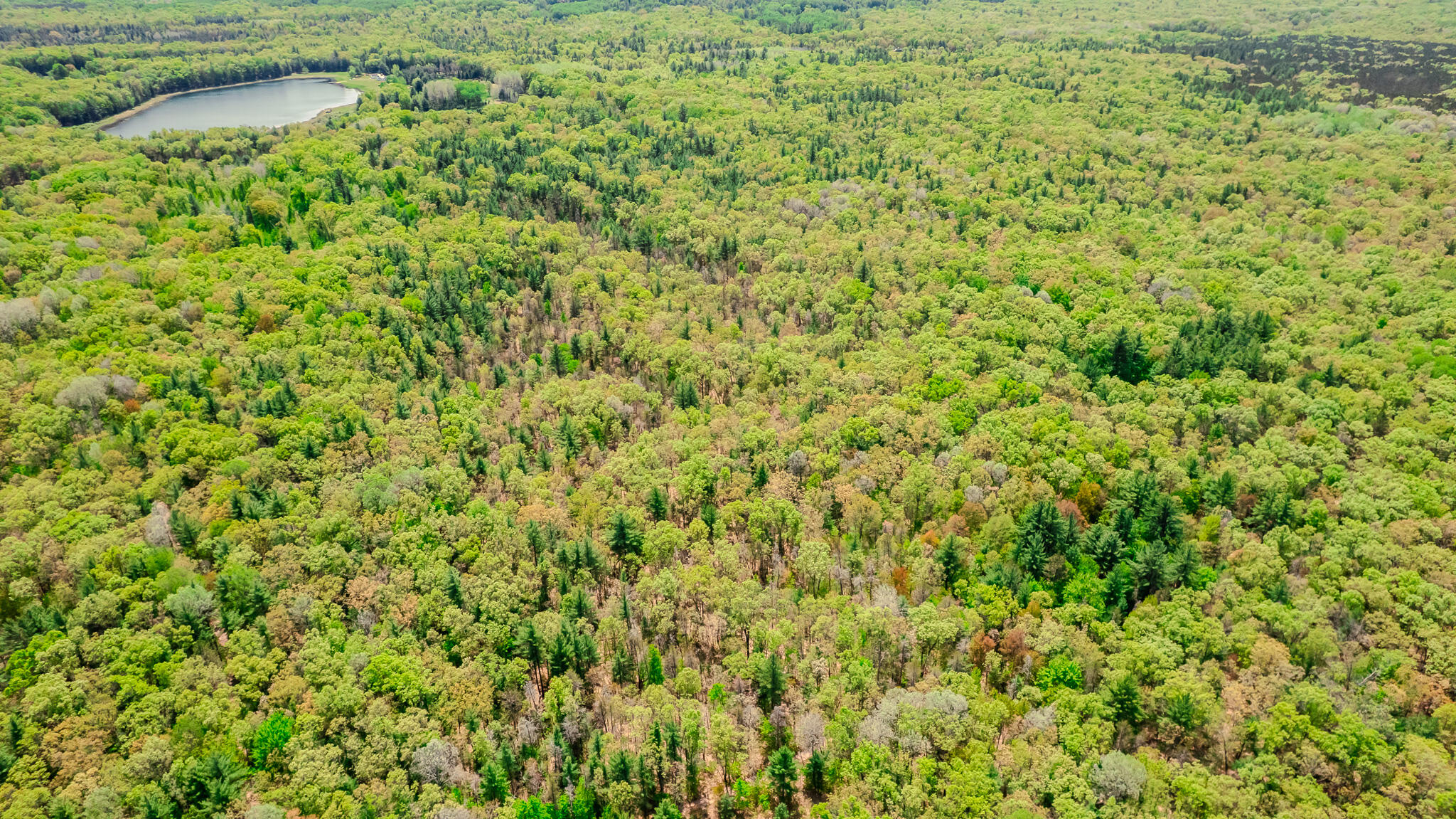 2 East Koenig Road Free Soil, MI 49411 - Photo 13 of 15 DJI_0913