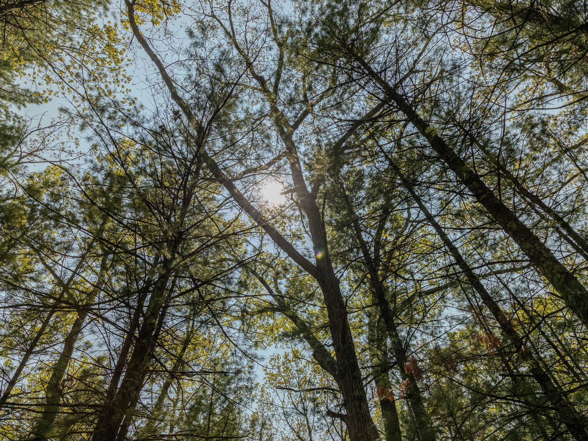 2 East Koenig Road Free Soil, MI 49411 - Photo 8 of 15 048A9824