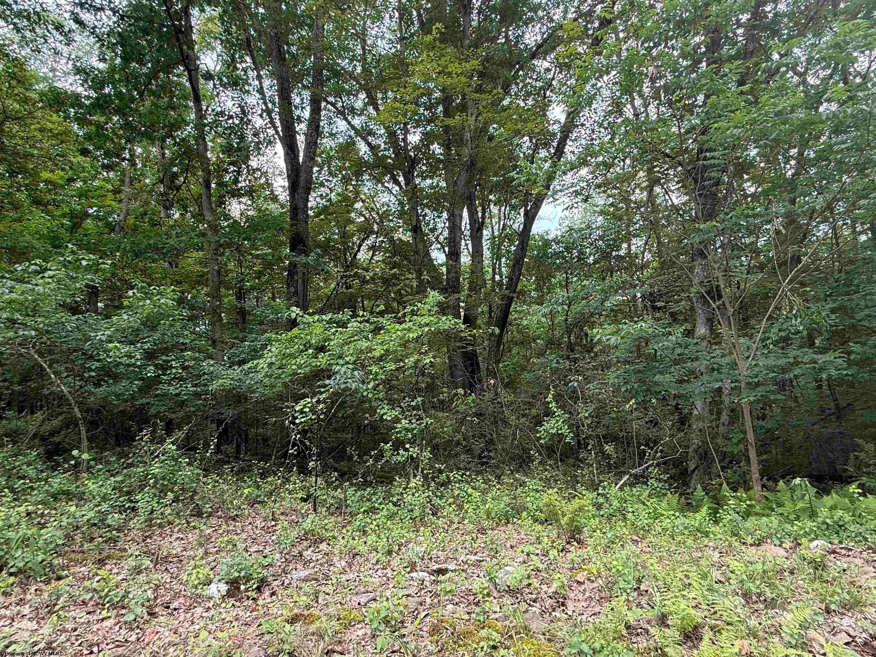Lot 3 Rochelle Mannington, WV 26582 - Photo 4 of 4 Gallery Image 4