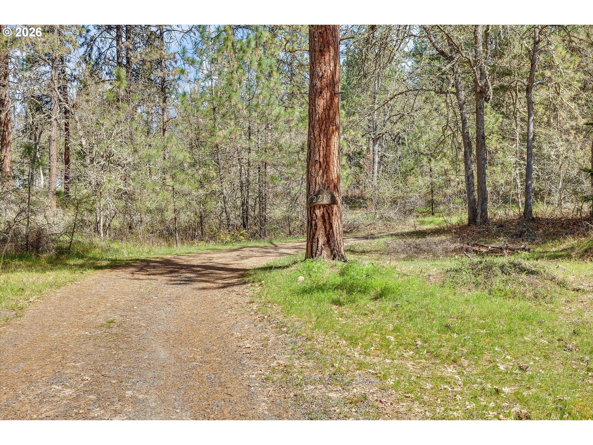 2215 Pine Oak Road Mosier, OR 97040 - Photo 45 of 46 Driveway