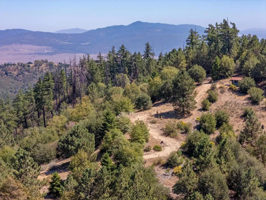 61 East Grade Road Palomar Mountain, CA 92060 - Photo 19 of 26 Gallery Image 19
