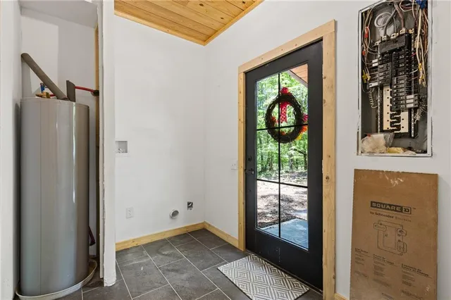 a view of a forest with plants and large trees