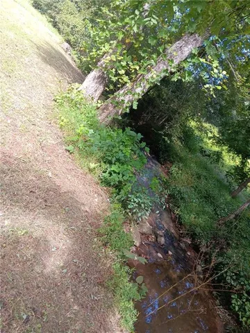 a view of a lush green forest