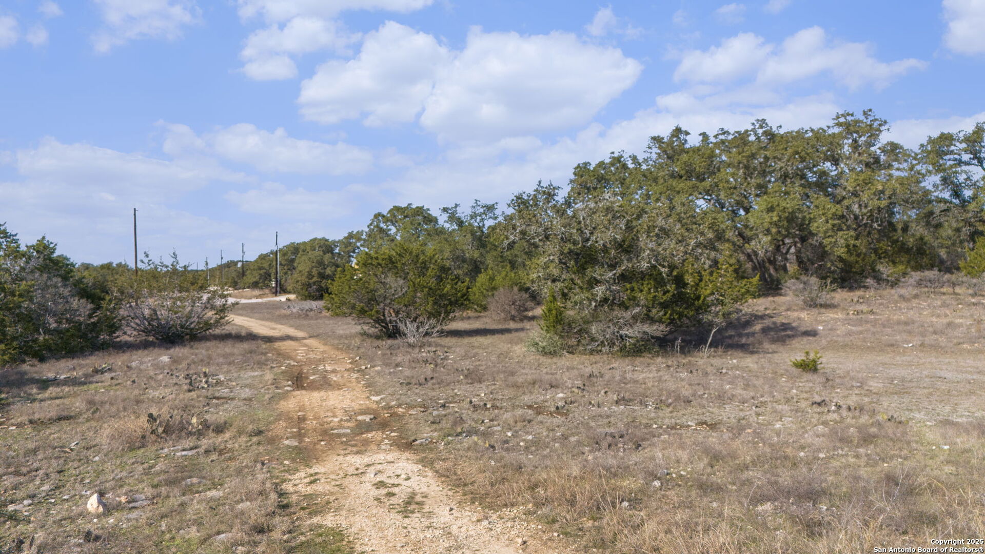 105 Joseph Lilley Blanco, TX 78606 - Photo 3 of 9 a view of a yard with a tree