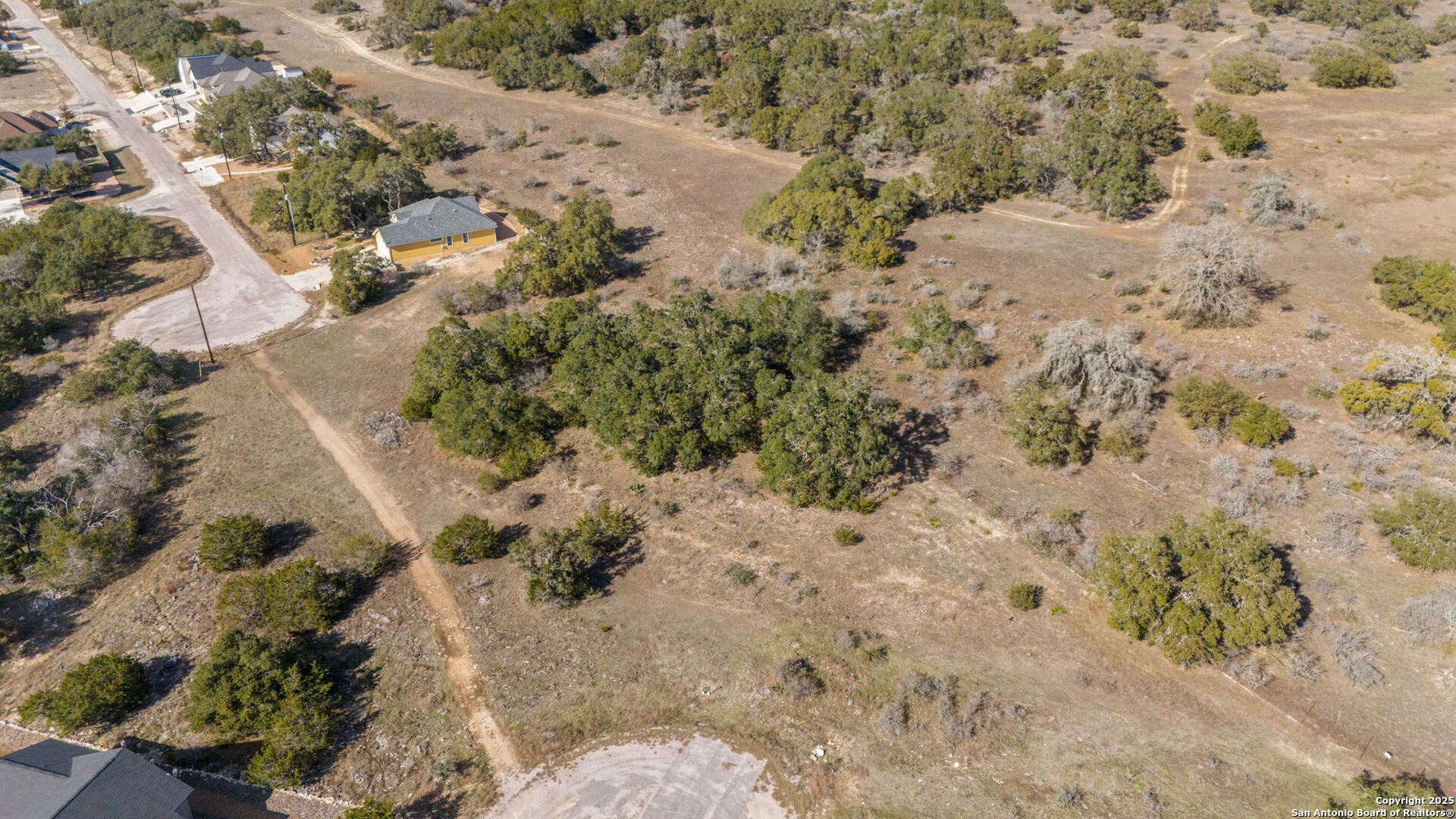 105 Joseph Lilley Blanco, TX 78606 - Photo 5 of 9 a view of a dry field with lots of trees