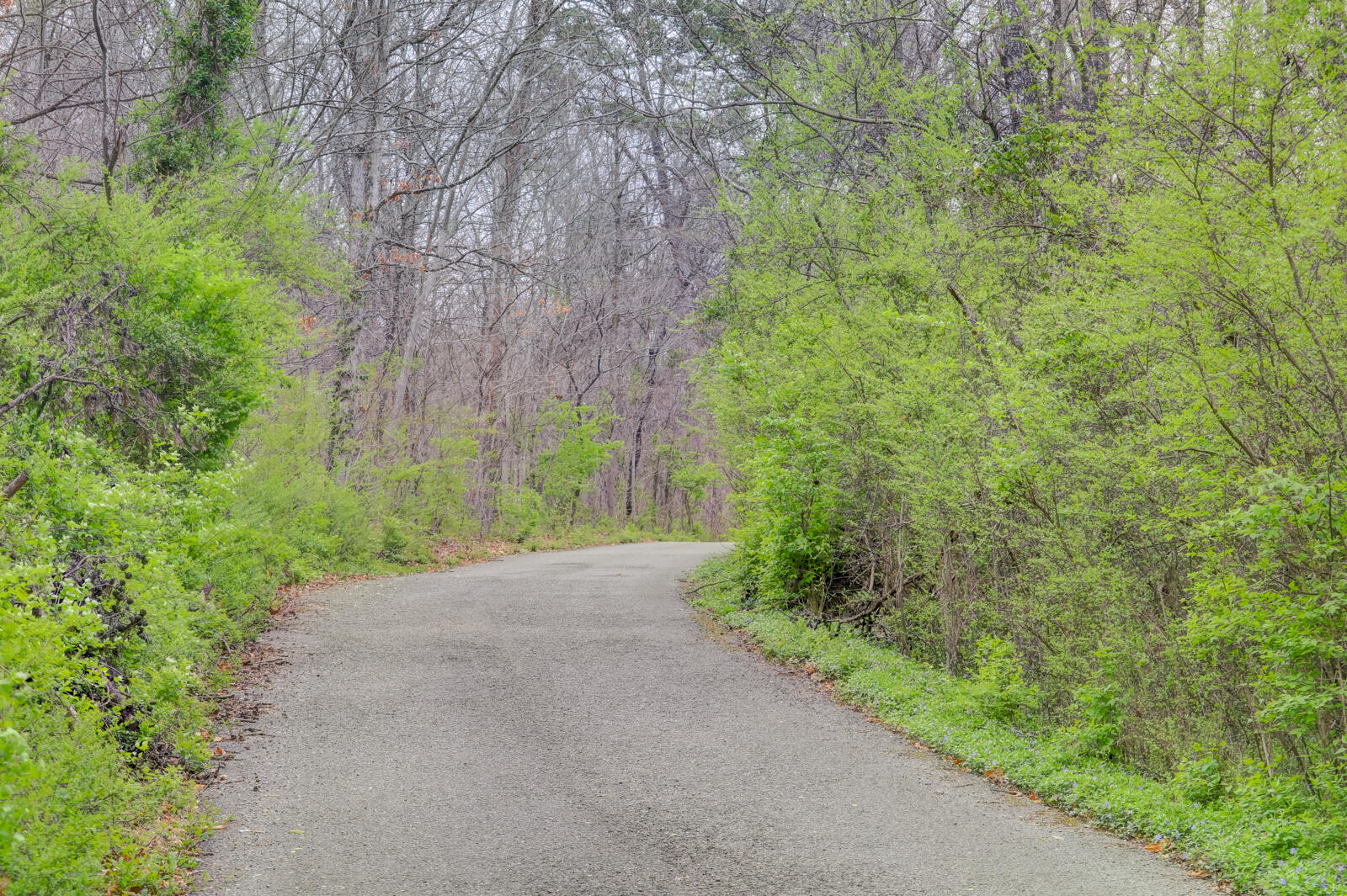 Positive Perceptions-1