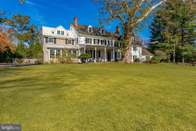 a view of a yard with plants and large trees
