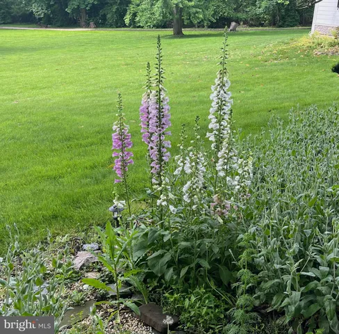 $1,600,000 | 630 Washington Lane, Jenkintown, PA 19046