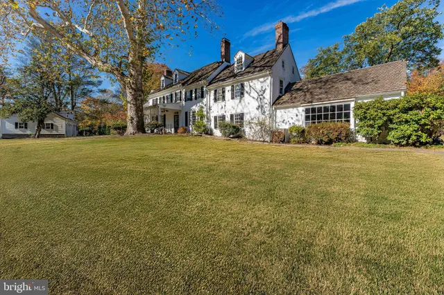 a view of a backyard with plants and large trees