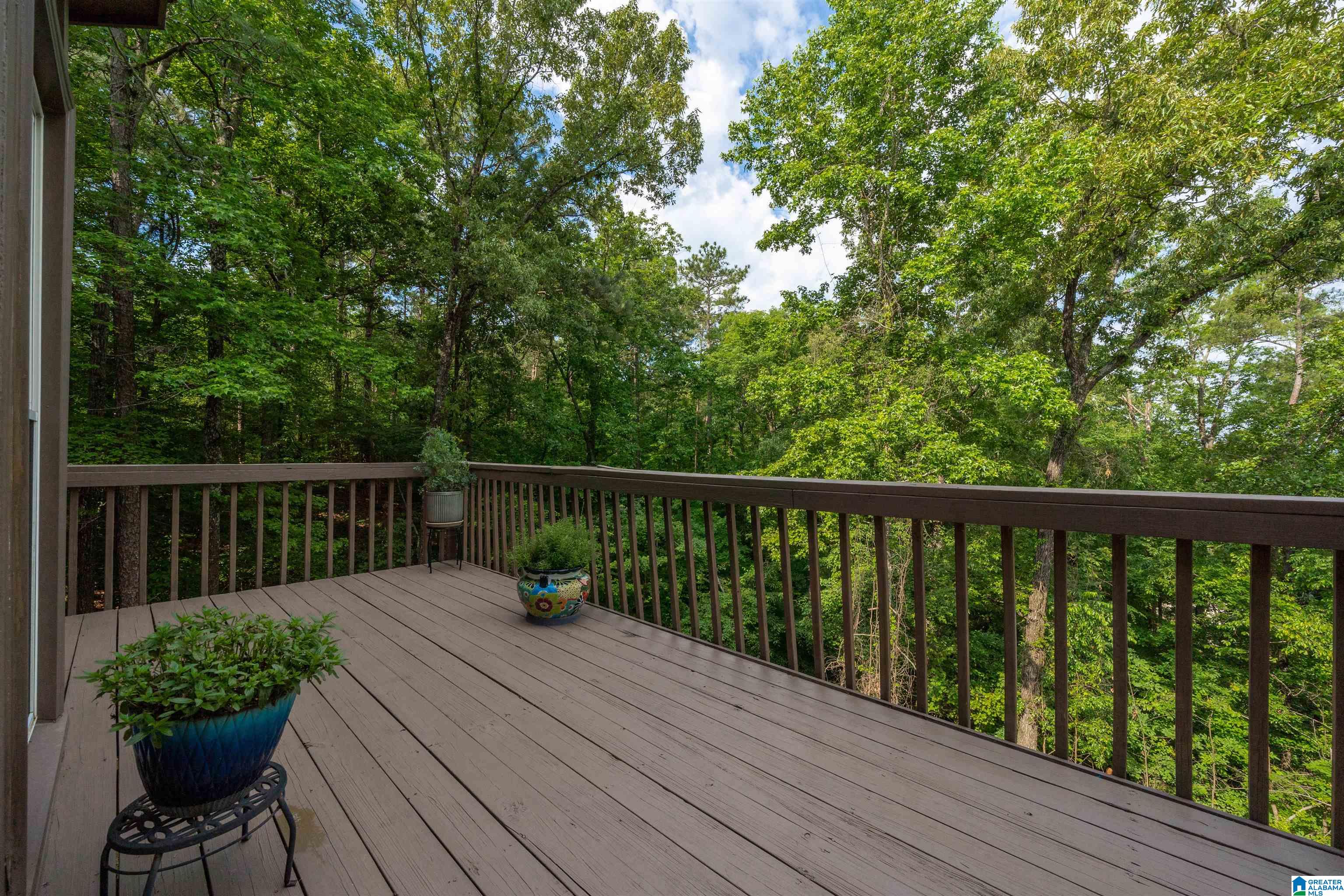 2221 Circle View Lane Hoover, AL 35244 - Photo 25 of 28