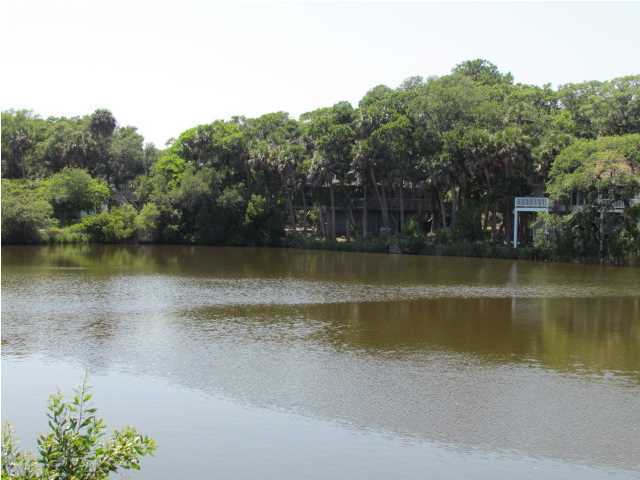 718 Jungle Road Edisto Beach, SC 29438 - Photo 3 of 20 Additional Photo
