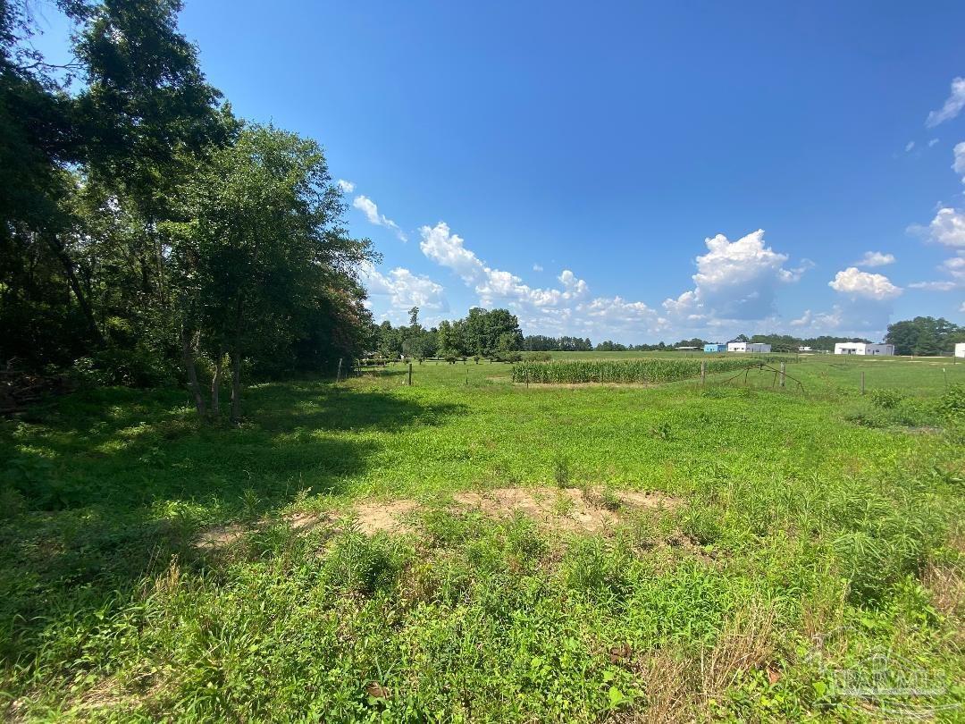 3224 Highway 4 Jay, FL 32565 - Photo 38 of 38 a view of a golf course with a garden