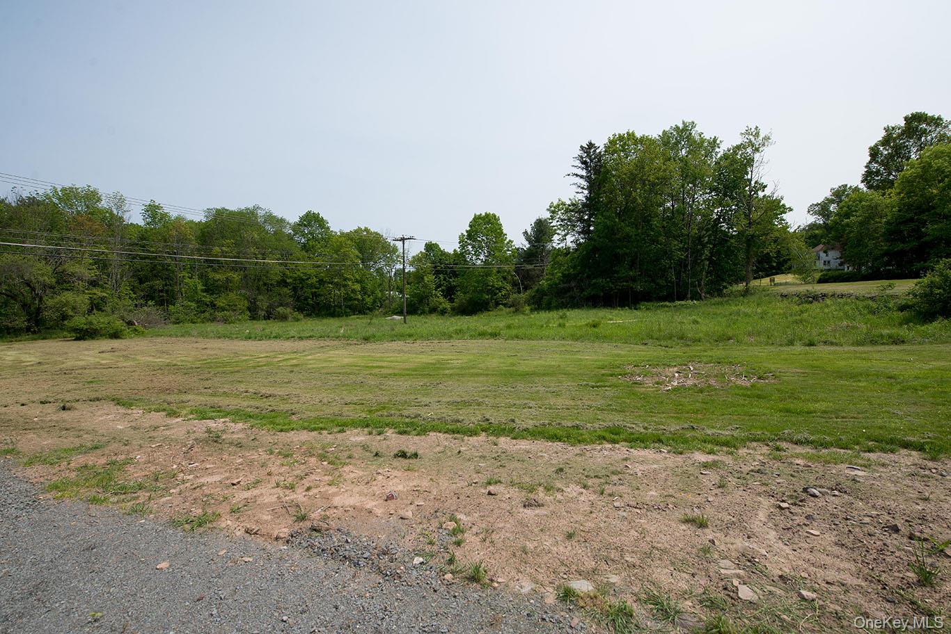 1132 Old Rte 17 Harris, NY 12742 - Photo 17 of 26 View of nature featuring rural landscape