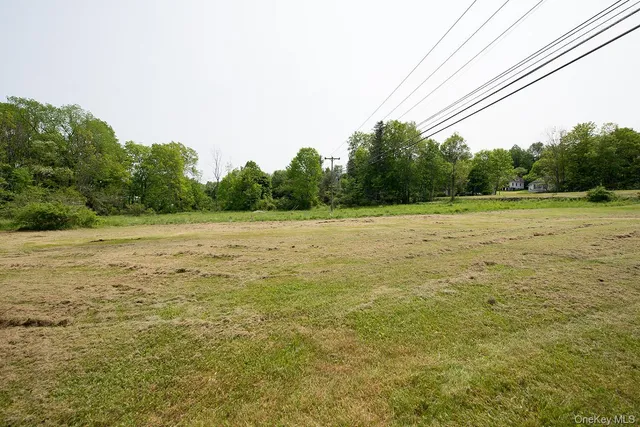 $489,900 | 1132 Old Rte 17, Harris, NY 12742