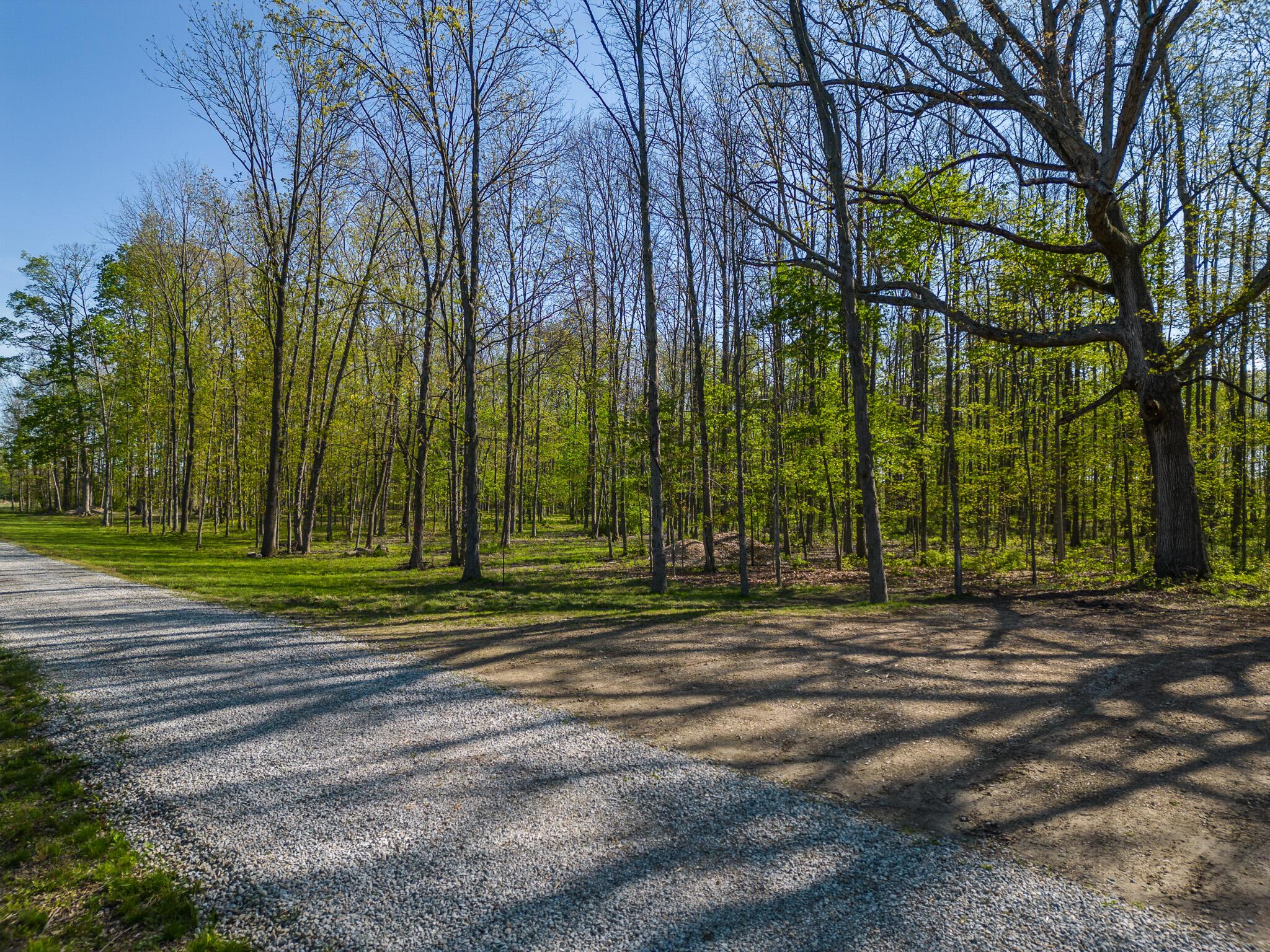 5387 Dildine Road Delaware, OH 43015 - Photo 7 of 37 5