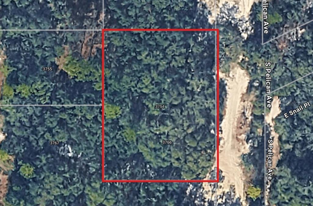 a view of a flower garden