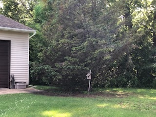 1695 Lee Center Road Amboy, IL 61310 - Photo 3 of 8