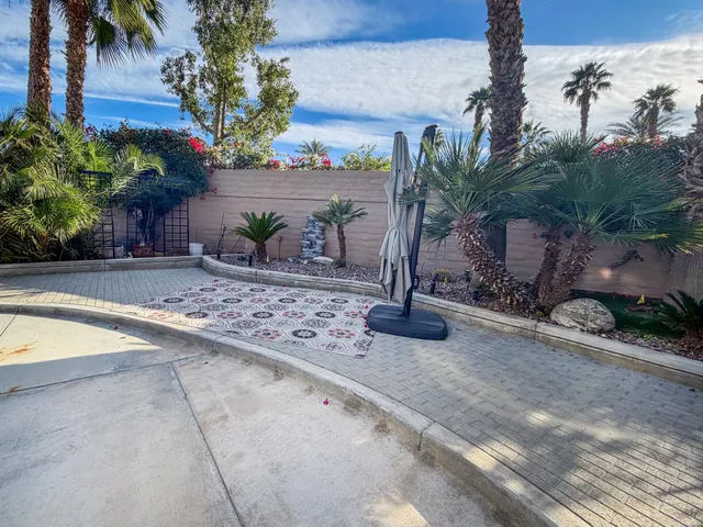 a view of a backyard with plants and palm tree