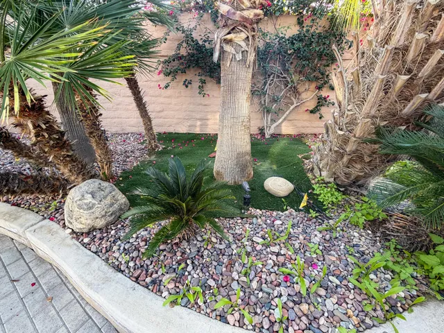 a view of a wooden fence and a plant