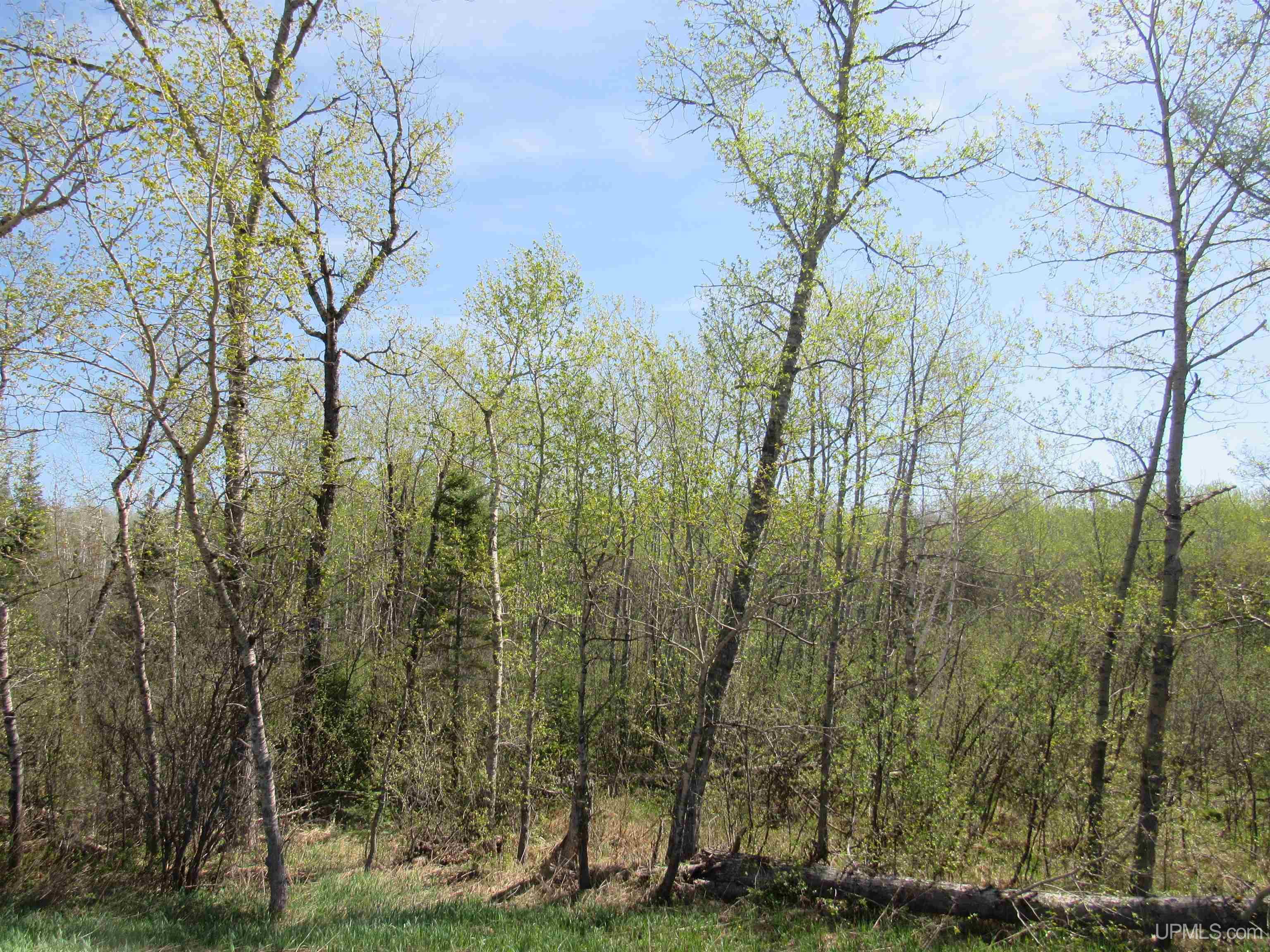 Tbd Us 141 Road, Unit LUKES ROAD Amasa, MI 49903 - Photo 1 of 22