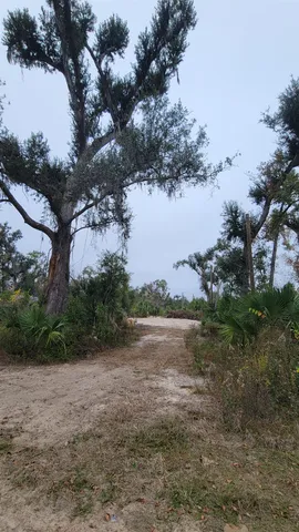 $75,000 | 3560 South Woodland Drive, Perry, FL 32348