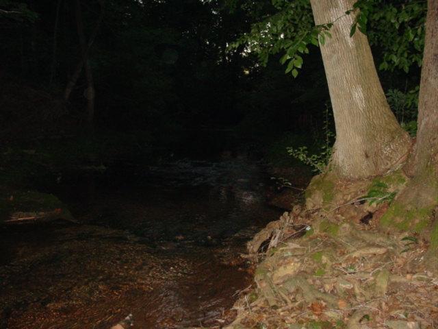 531 West Harper Road Portland, TN 37148 - Photo 20 of 20 VIEW OF CREEK ON BACK OF PROPERTY