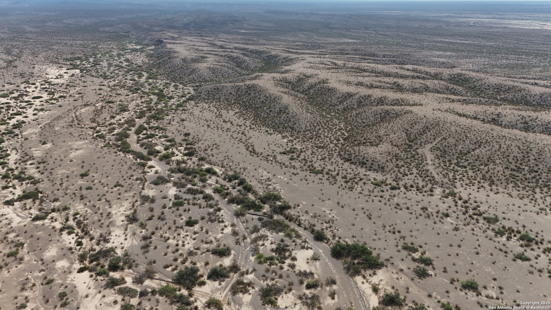 a view of a dry yard with trees