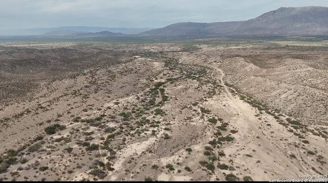 a view of a dry yard with wooden floor