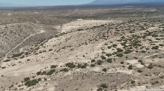 a view of a dry yard with wooden fence