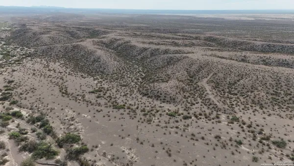a view of a dry yard with and trees